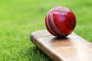 Что нужно знать про ставки на крикет