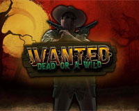 Wanted dead or a wild slot